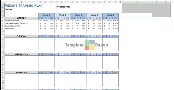 Weight Training Plan